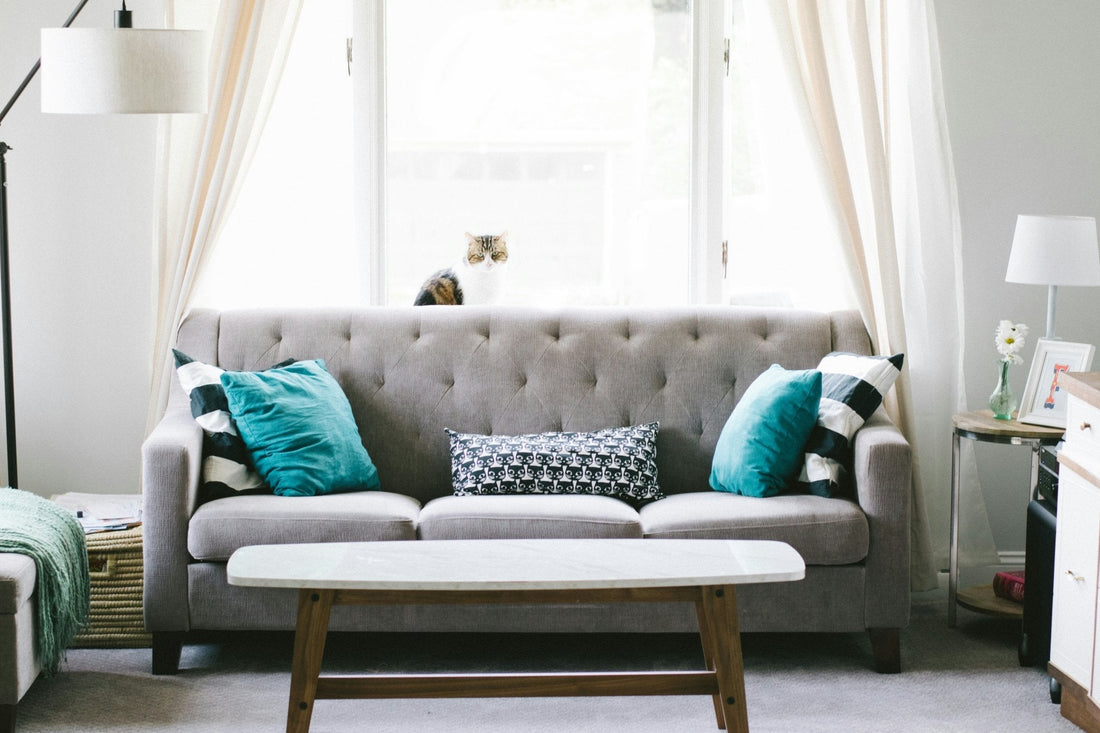 Take The Risk Out Of Buying Your Sofa With A Visit To Lakeland Sofa Warehouse - Lakeland Sofa Warehouse